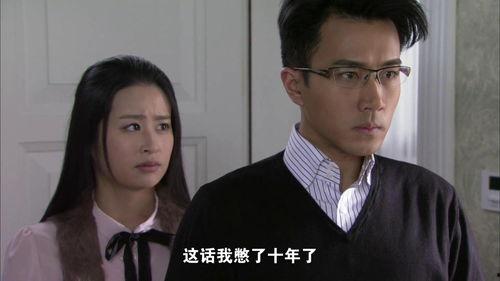 千山暮雪电视剧